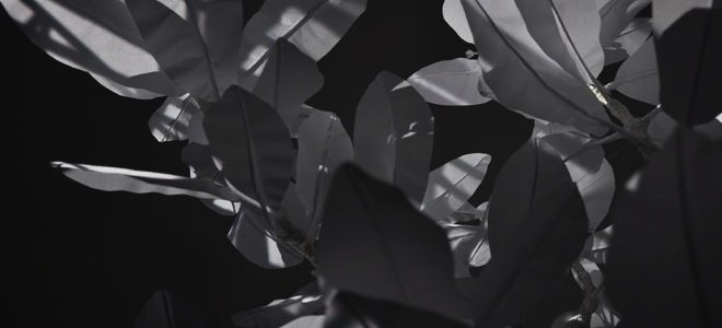 Sarah Jane Gorlitz and Wojciech Olejnik  “The Vibrating Self”
