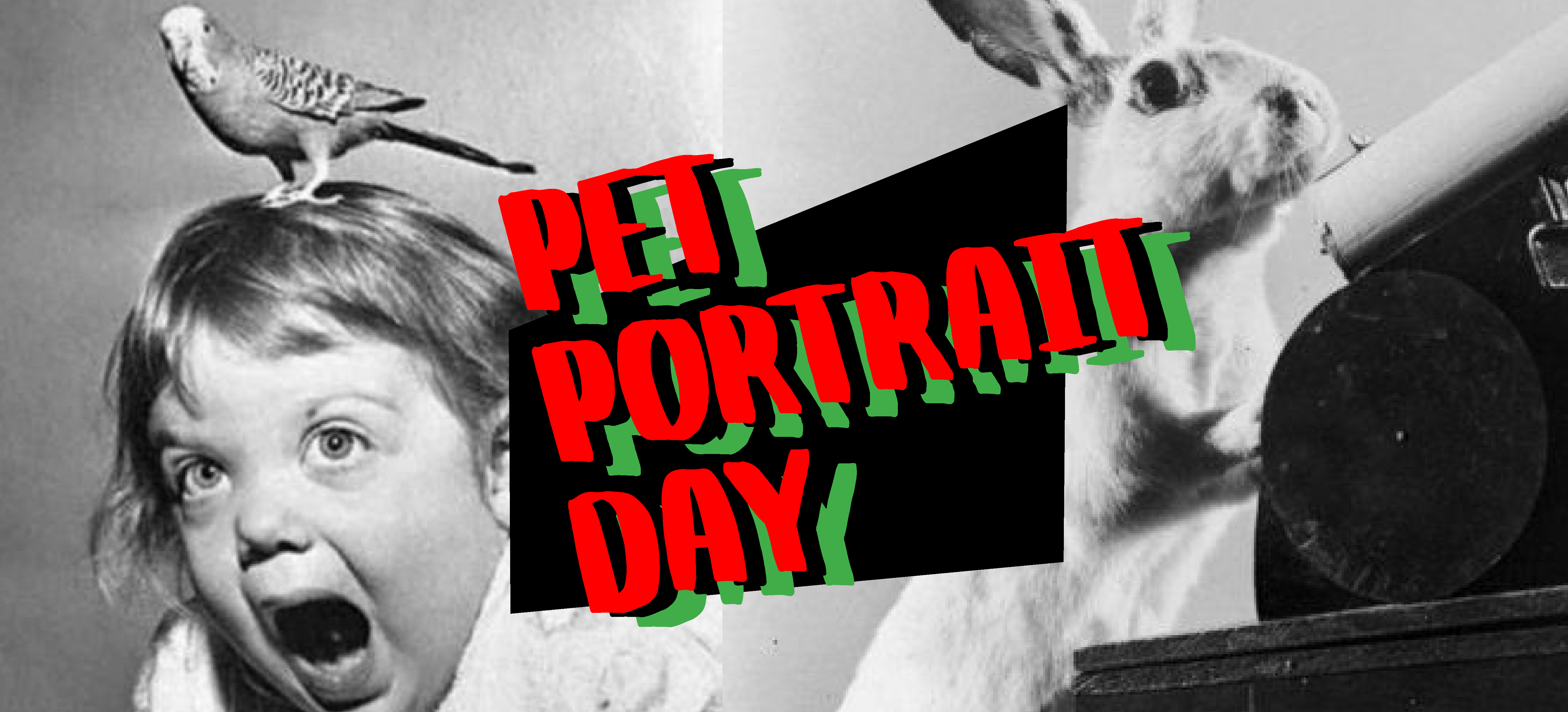 PAVED Arts’ Pet Portrait Fundraiser