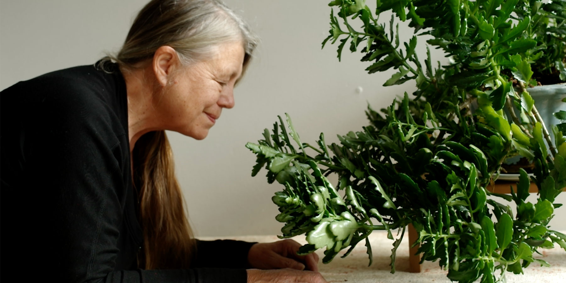 Artist Sandra Semchuk leans toward a plant with hands gently placed on the ground.
