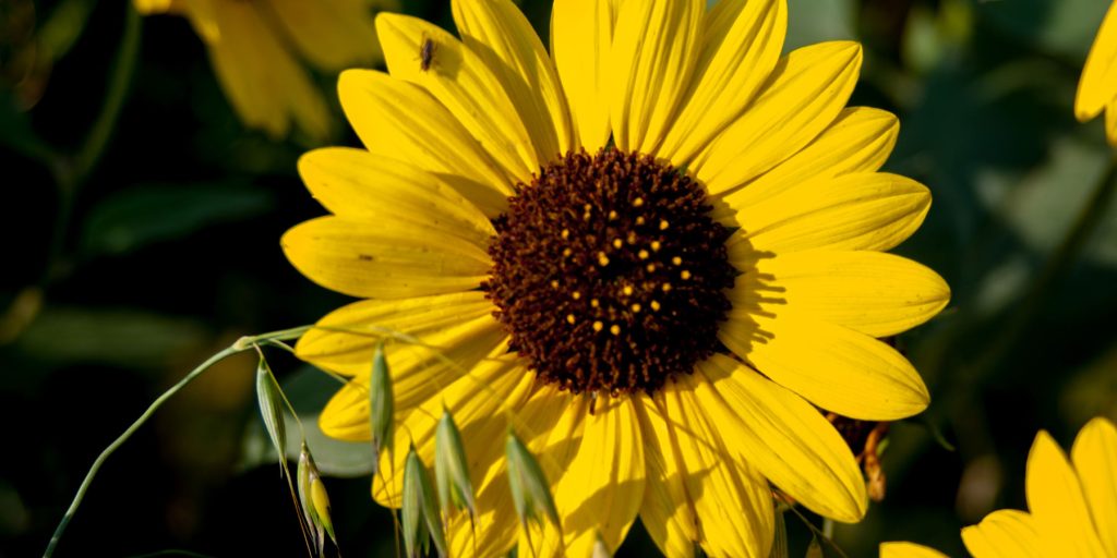 Bruce Gibson Colour Film Processing Workshop