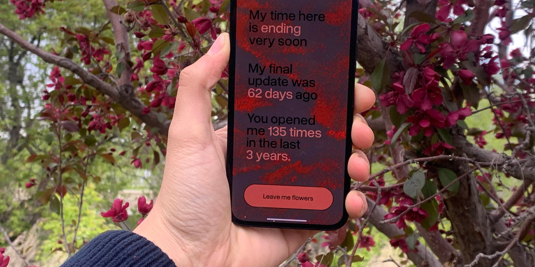 Akshara Dash, Digital Decay