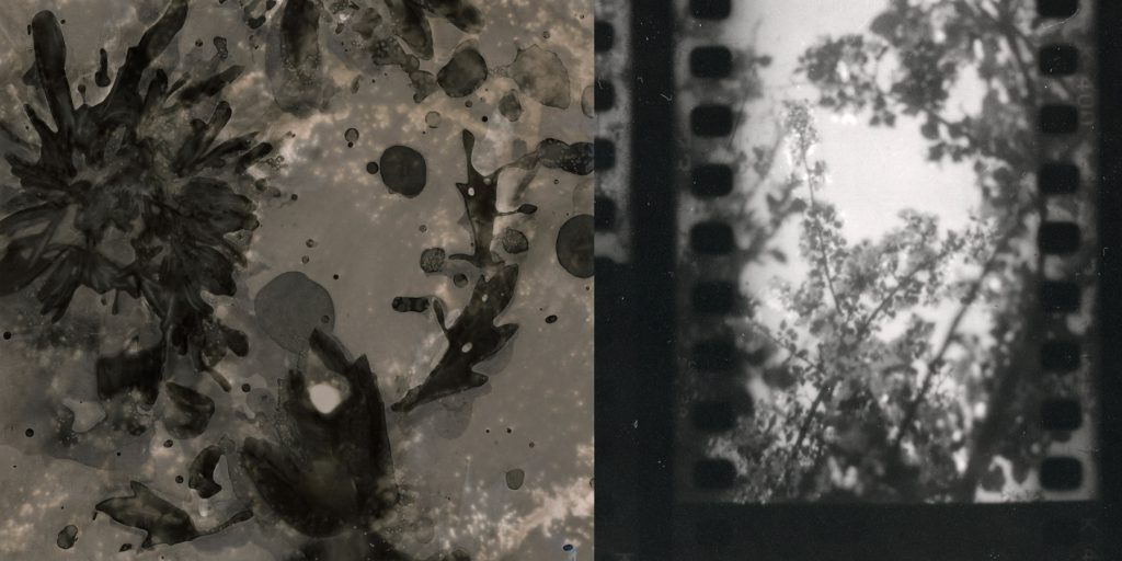 Who Needs a Darkroom? Workshop w/ Barbara Reimer