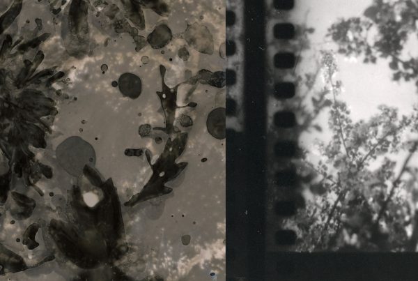 Who Needs a Darkroom? Workshop w/ Barbara Reimer