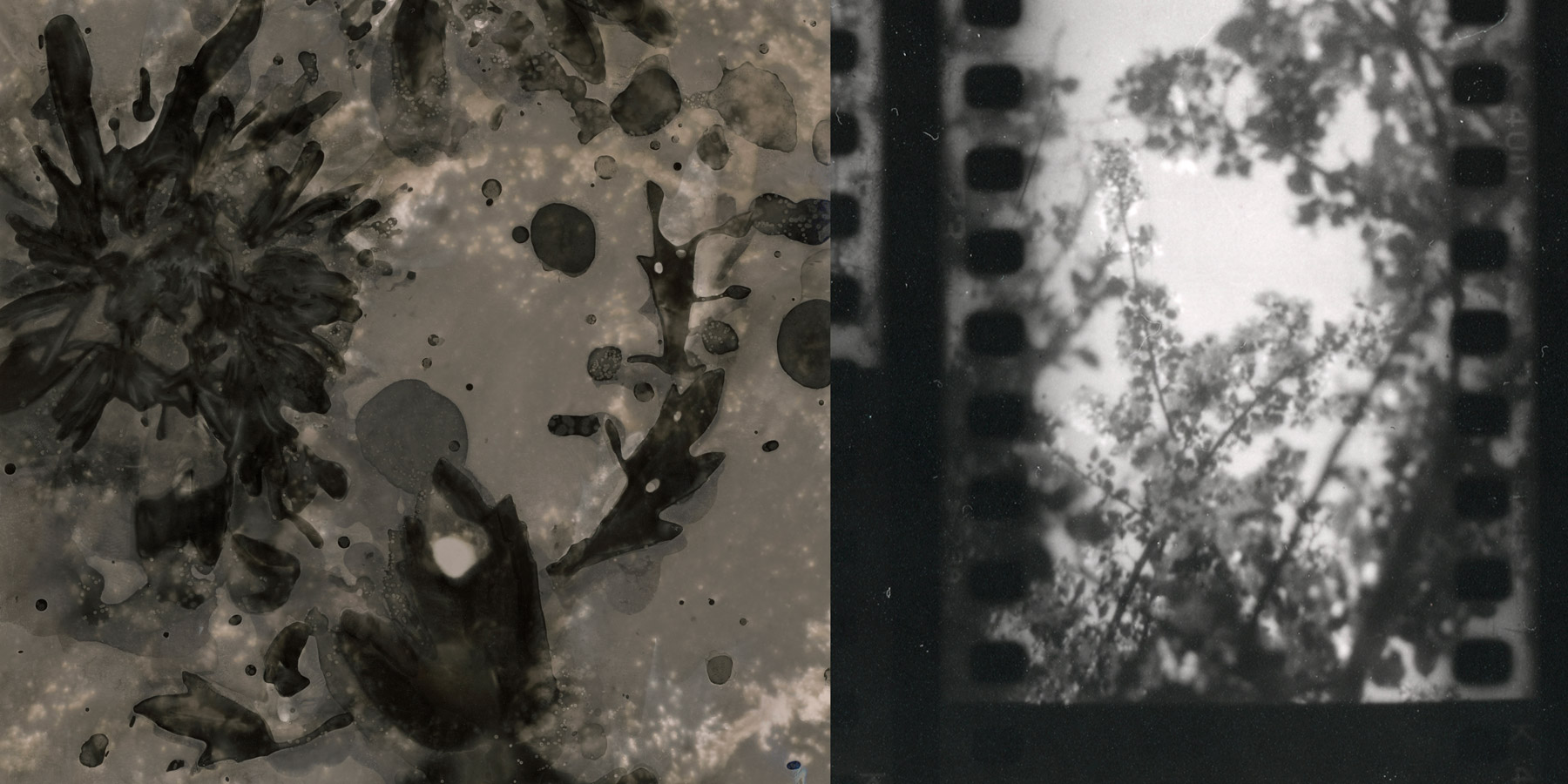 Who Needs a Darkroom? Workshop w/ Barbara Reimer