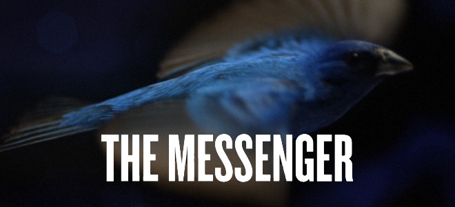 The Messenger Documentary Screening
